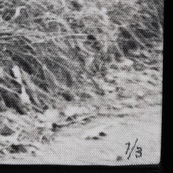 Carl Johan De Geer, photo sublimation signed and dated 1958-2007. Numbered 1/3.