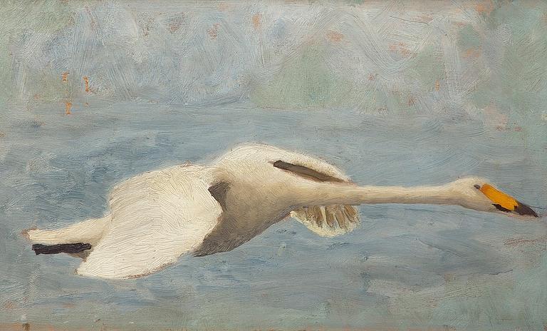 Bruno Liljefors, Flying Swan.