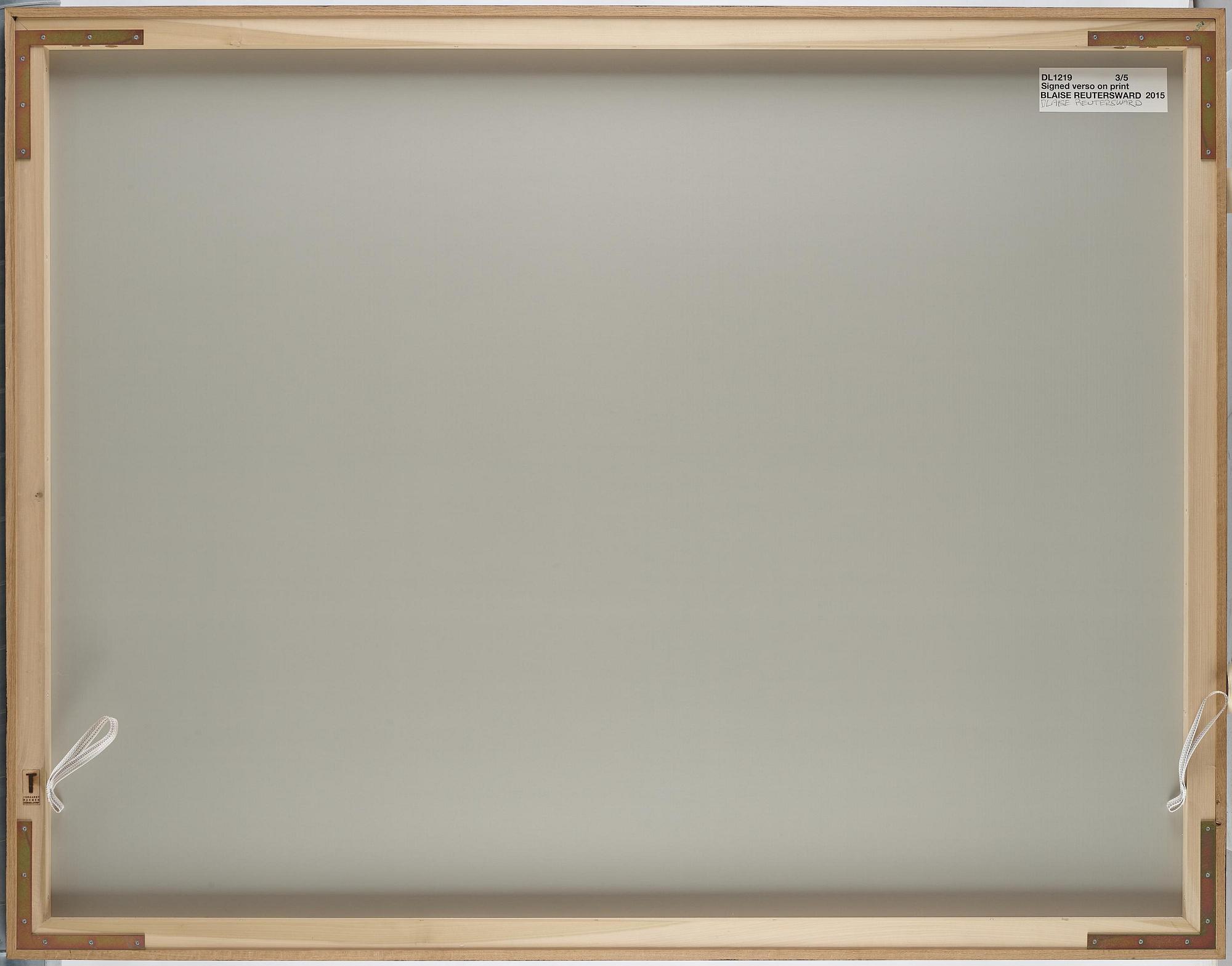 Blaise Reutersward, "DL 1219", 2015.