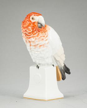 FIGURIN, porslin. Moldenhauer, Rosenthal, Bavaria.