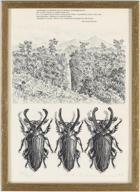 KARL AXEL PEHRSON, 9 st, litografier, signerade, olika dateringar och numreringar.