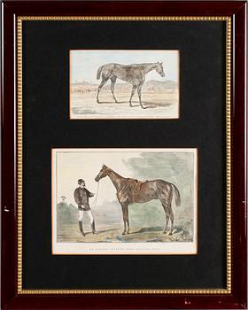 LITOGRAFISKA TRYCK, 4 st, kolorerade, omkring år 1900.