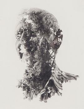 Christoffer Relander, "Old as a Tree".