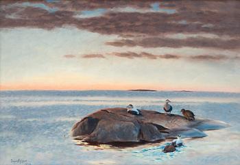 299. Bruno Liljefors, Common Eiders on a Rock.