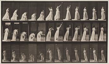 321. Eadweard Muybridge, Plate 305 ur "Animal Locomotion", 1887.