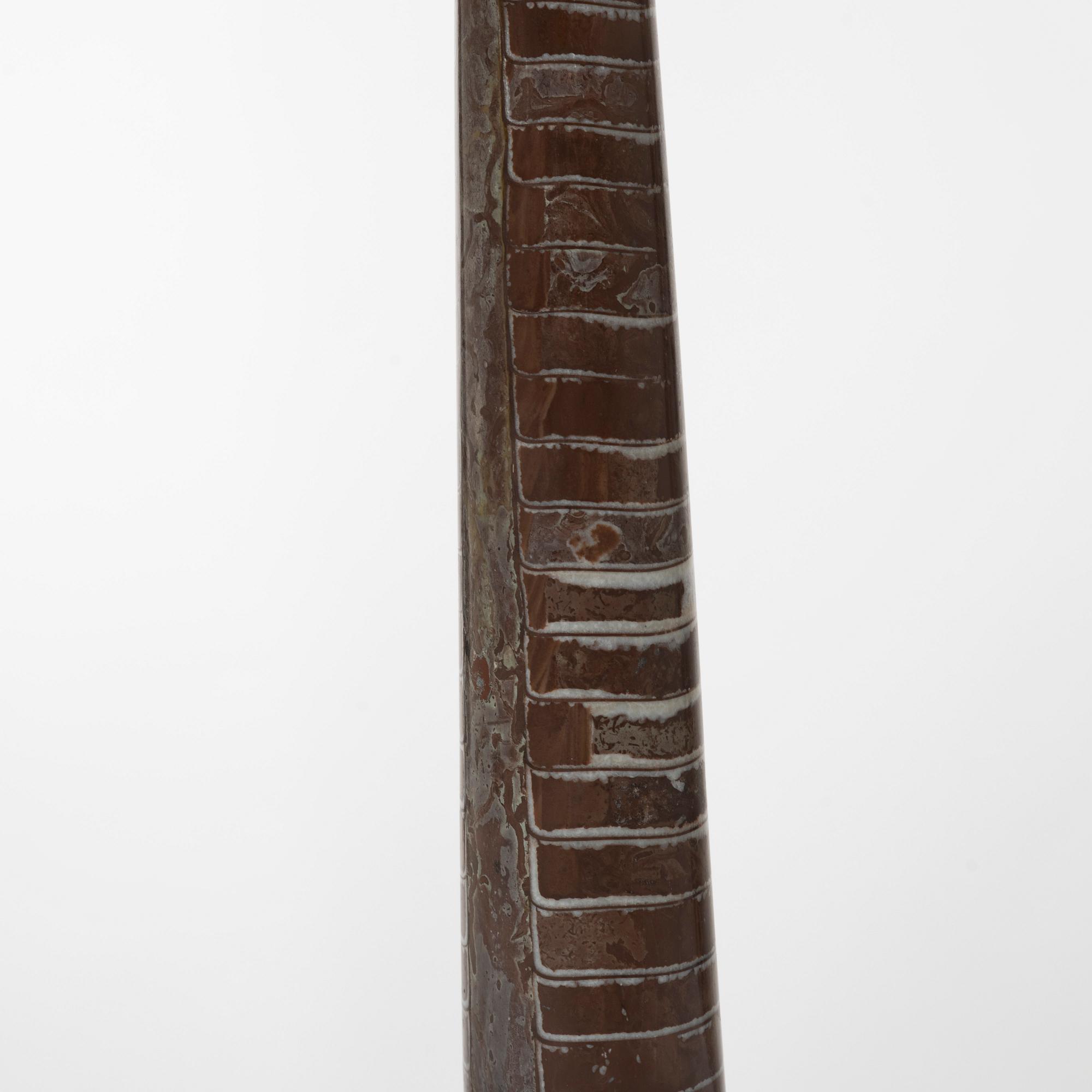 An Orthoceras fossil.