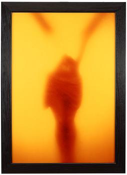 200. Andres Serrano, "Winged Victory",1987.