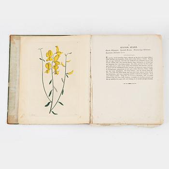 35 vackra blomsterplanscher.