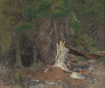 Bruno Liljefors, Forest Glade.
