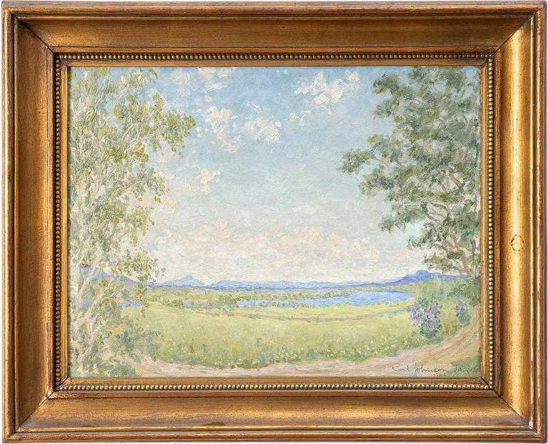 Carl Johansson, Summer in Järvsö.