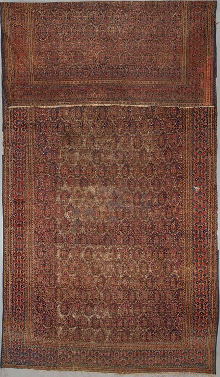 MATTA. Sarouk semiantik 506 x 228.