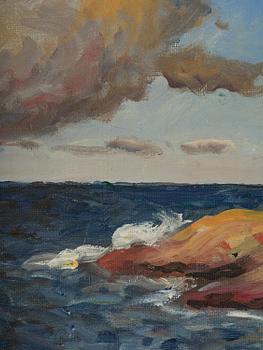 Oskar Bergman, Seascape with fish gulls.