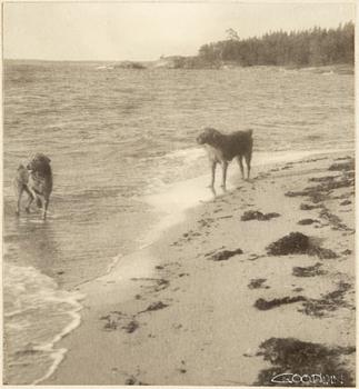 HENRY B. GOODWIN, 2 signed gelatin silver prints with motif from Mysingen.