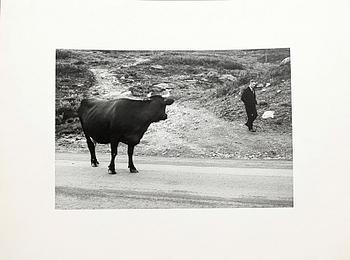 HANS MALMBERG, fotografi, stämplad á tergo.