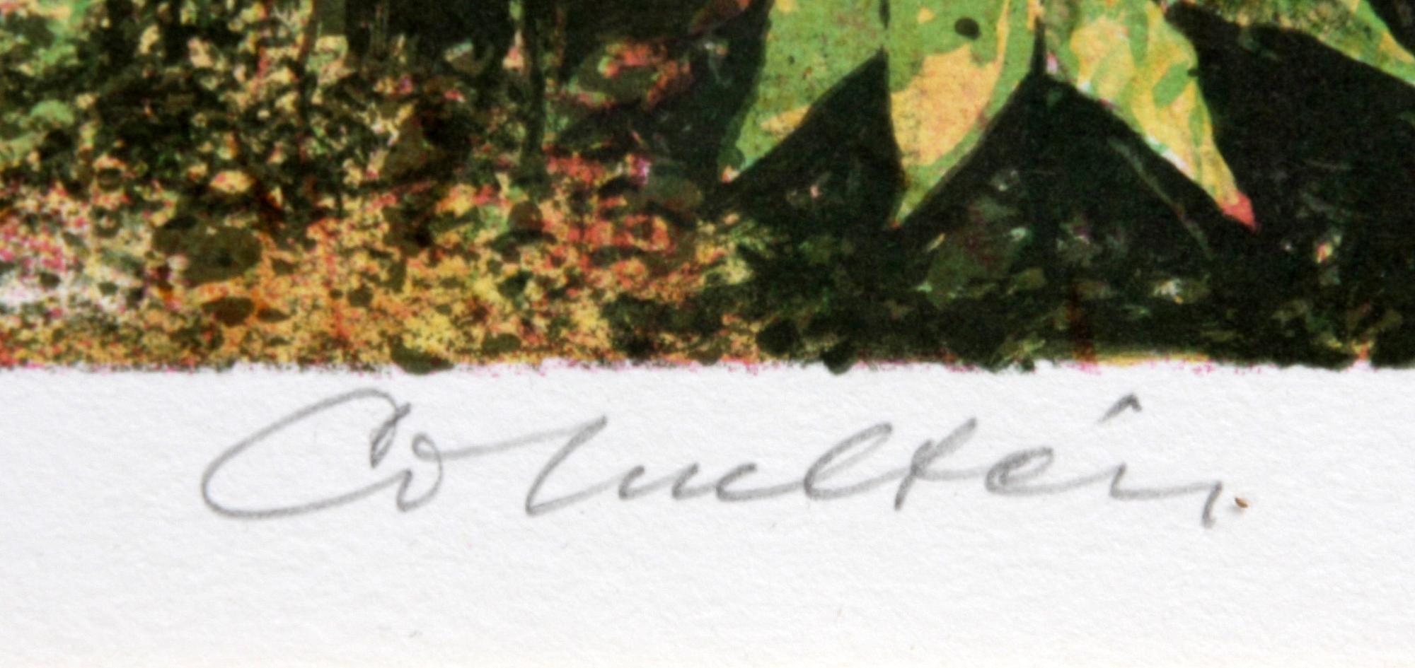 CARL OTTO HULTÉN, färglitografi, sign o numr 202/225.