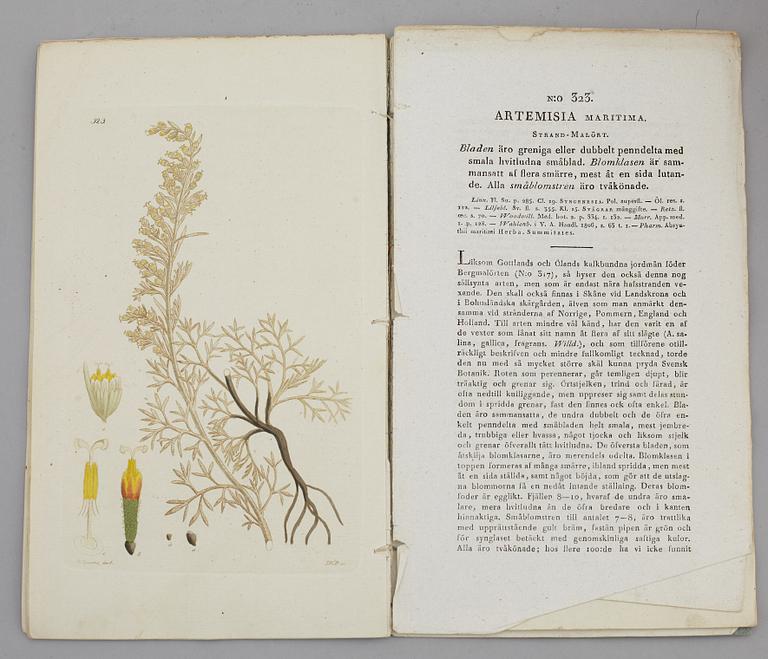JOHAN WILHELM PALMSTRUCH, "Svensk Botanik, vol I-V. 1803-1805.