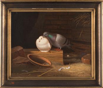 Ferdinand von Wright, Doves on the Attic.