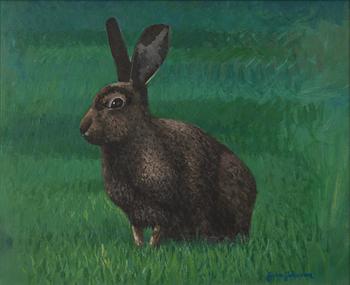 Joakim Johansson, Hare.