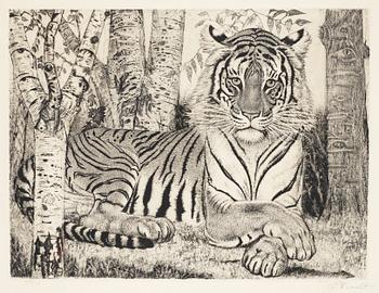 156. Eduard Wiiralt, "Reclining tiger" (Lamav tiiger).