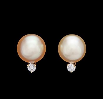 929. A pair of golden South sea pearl, 13,8 mm, and drop cut diamond earrings, tot. 0.44 cts.
