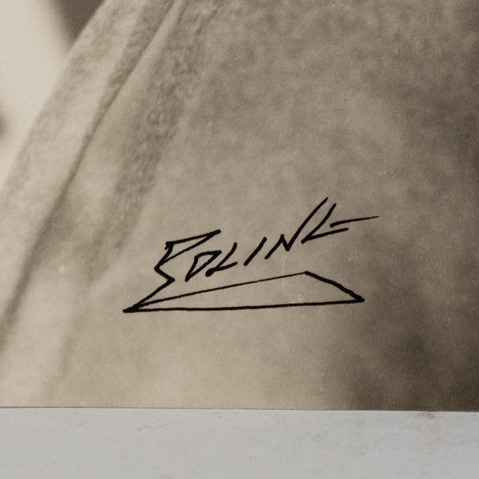A set of four photographs by Walter Wolfenstein, Anna Riwkin-Brick, Tage Edling, Signed and stamped.