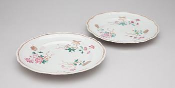 LAUTASIA , pari, Kina, Qianlong (1736-1796).