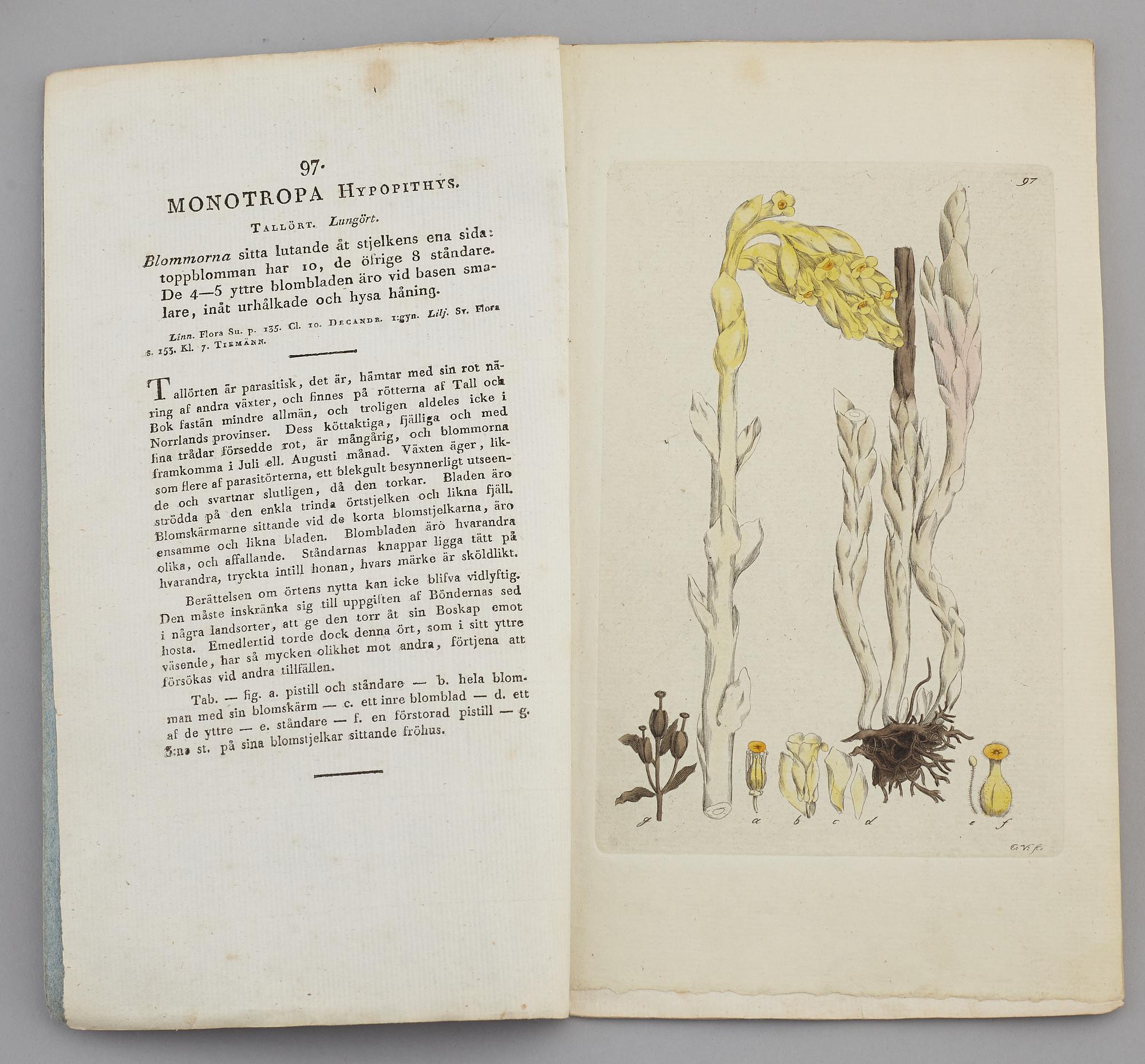 JOHAN WILHELM PALMSTRUCH, "Svensk Botanik, vol I-V. 1803-1805.