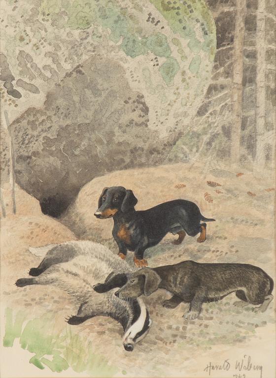 Harald Wiberg, Dachshounds with a badger.