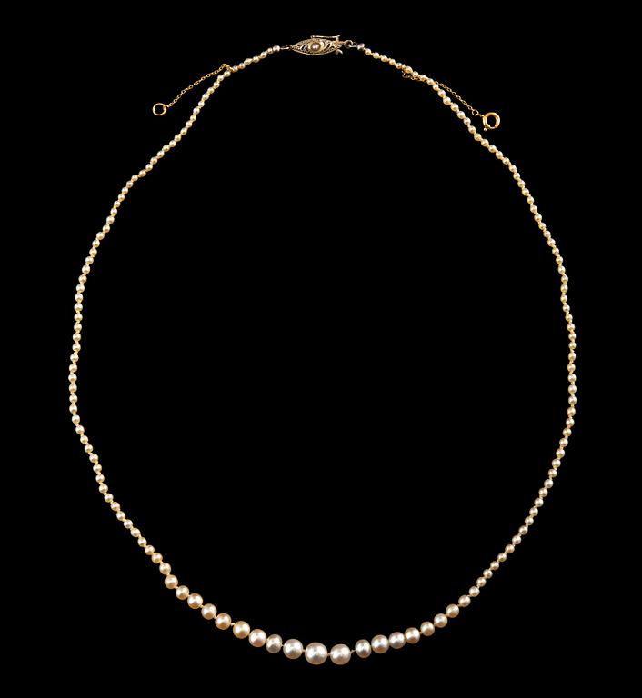 COLLIER, orientpärlor, 5,7-1,6 mm. Lås i 18K guld. 1910/20 t. Längd 45 cm.