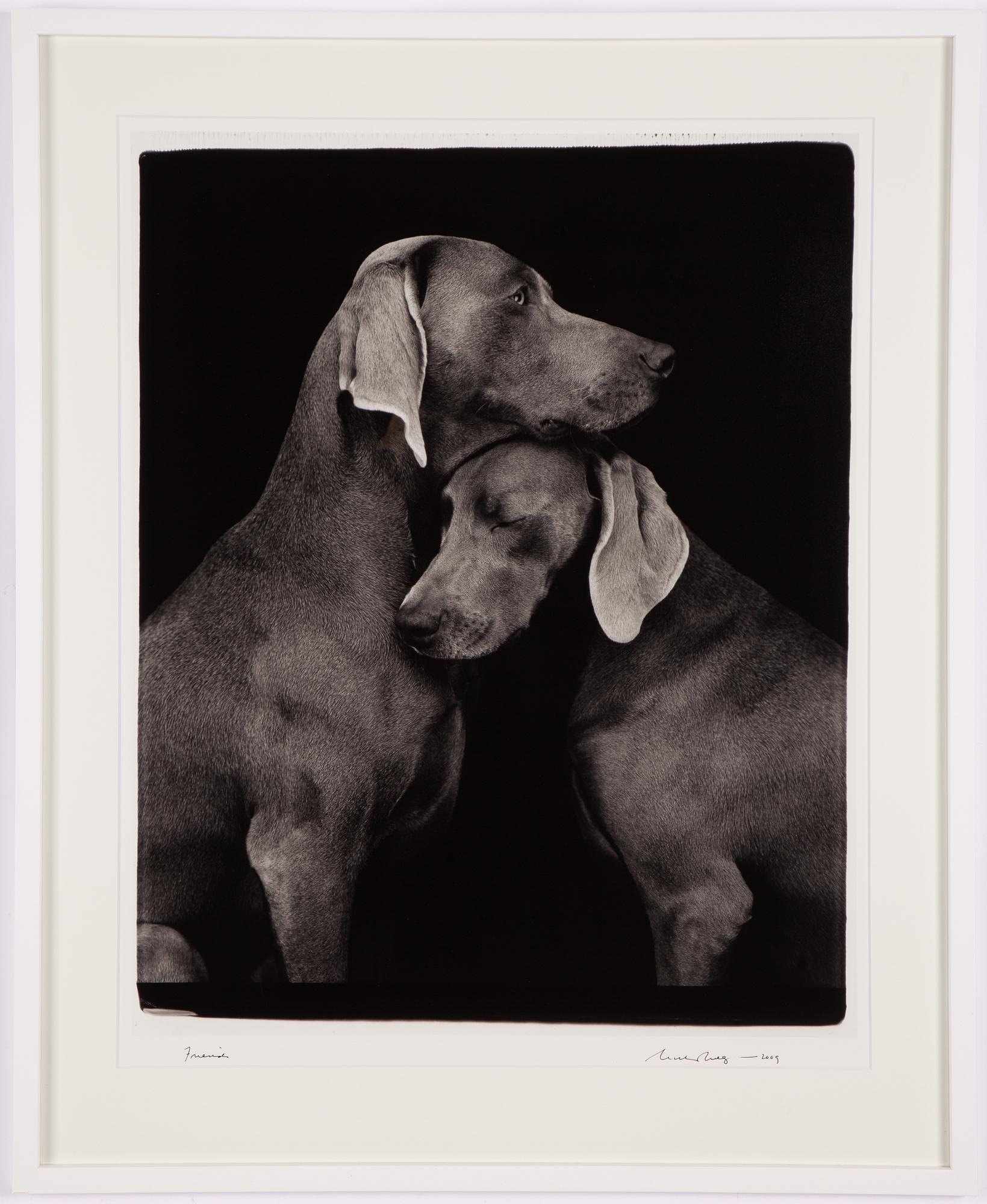 William Wegman, "Friends".