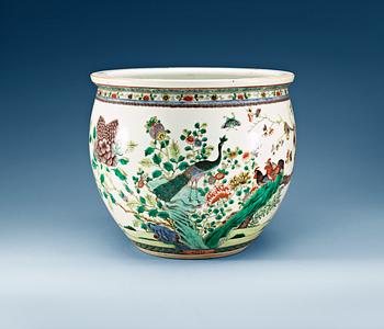 A large famille rose fish basin, late Qing dynasty.
