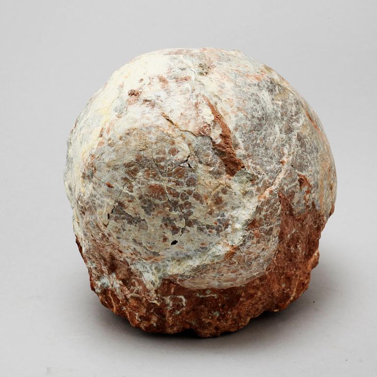 DINOSAURIEÄGG, fossil.