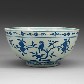 A large blue and white 'parrot and pomegranate' bowl, Ming dynasty (1368-1644).