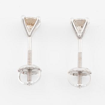 Earrings 14K white gold with brown brilliant-cut diamonds.