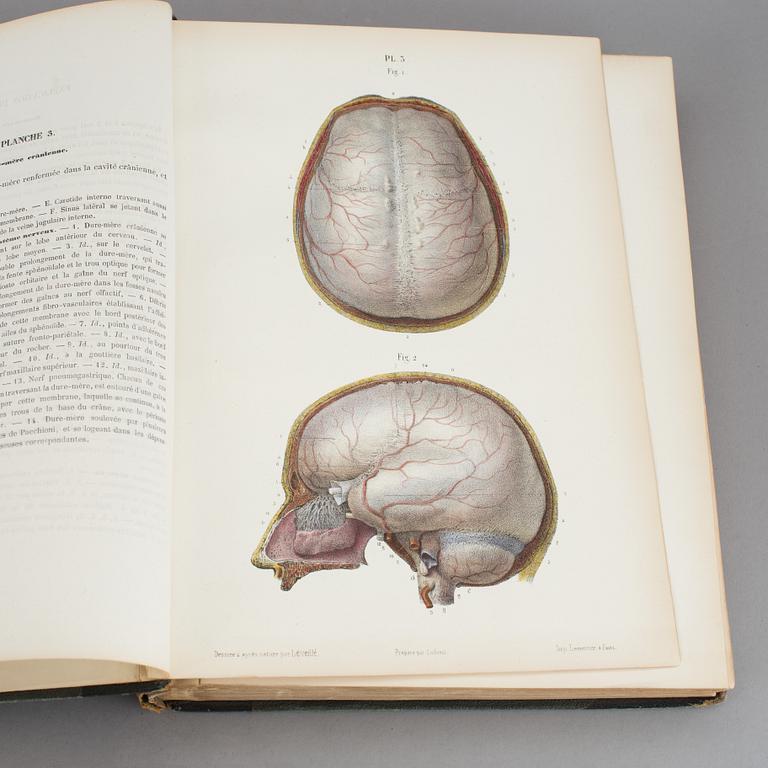 ATLAS, "Systeme Nerveux", Ludovic Hirschfeld, Victor Masson et Fils,  Paris, 1866.