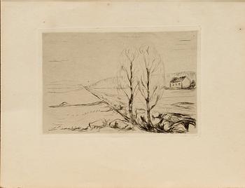 EDVARD MUNCH, drypoint, unsigned.