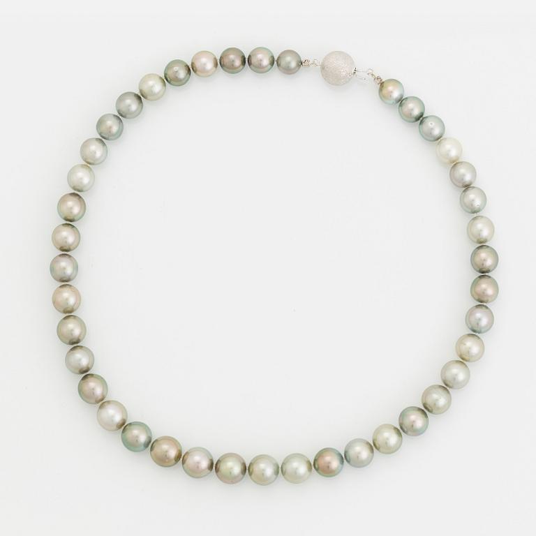 A cultured Tahiti pearl necklace.