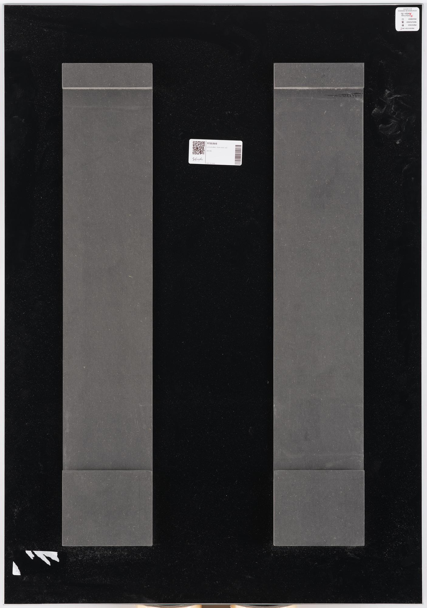 Lena Koller, "Tång", 2013.