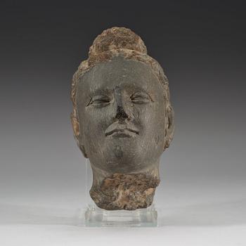 HUVUD, sten. Gandhara, troligen 200/300-tal.