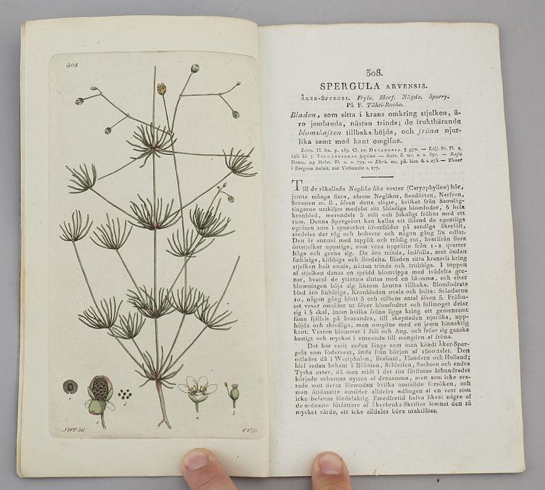 JOHAN WILHELM PALMSTRUCH, "Svensk Botanik, vol I-V. 1803-1805.