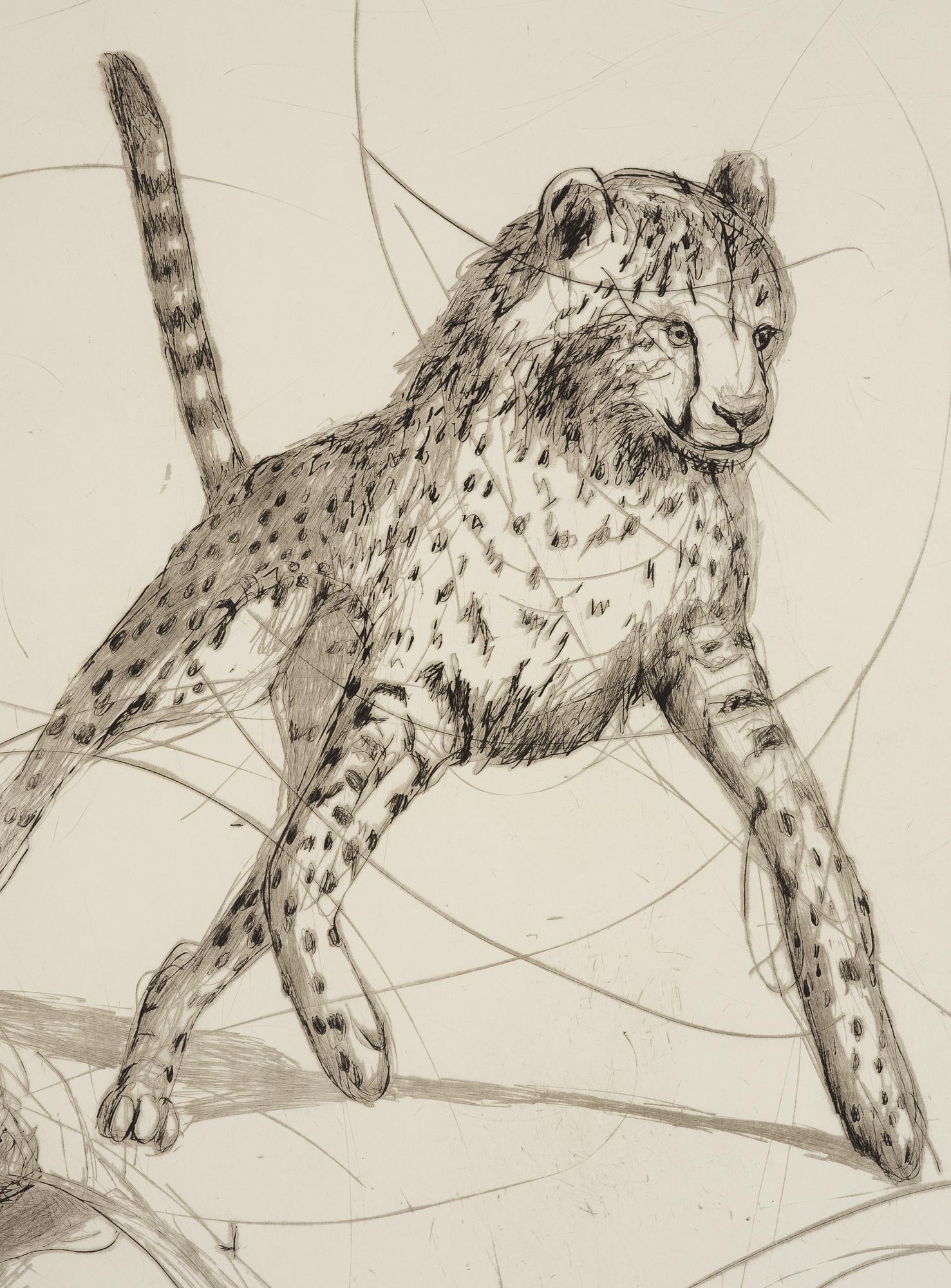 Linn Fernström, "Prata bubbla".