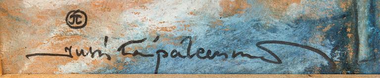 Jussi Taipaleenmäki, untitled.