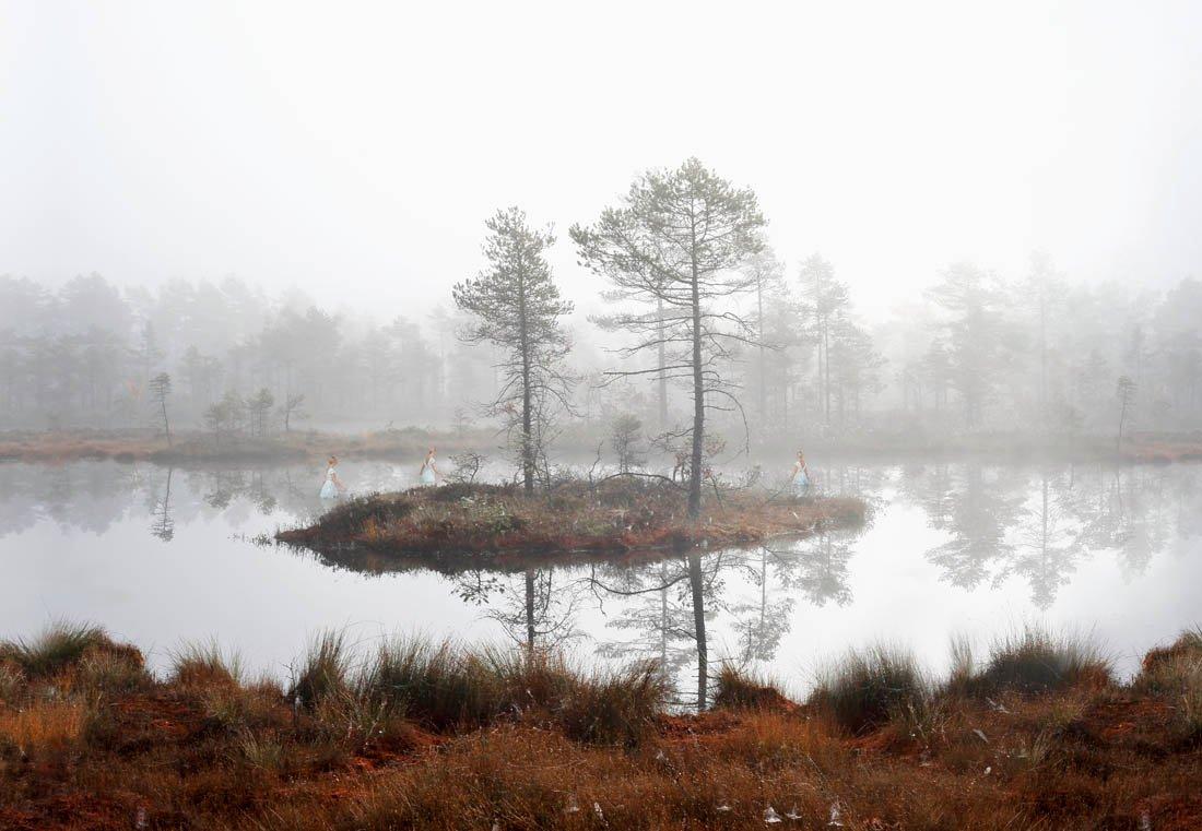 Ann Eringstam, "In search of wonderland 14", 2013.