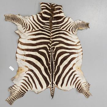 ZEBRASKINN, omkring 1900-talets mitt.