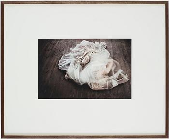 Lisa Sjögren, Untitled.