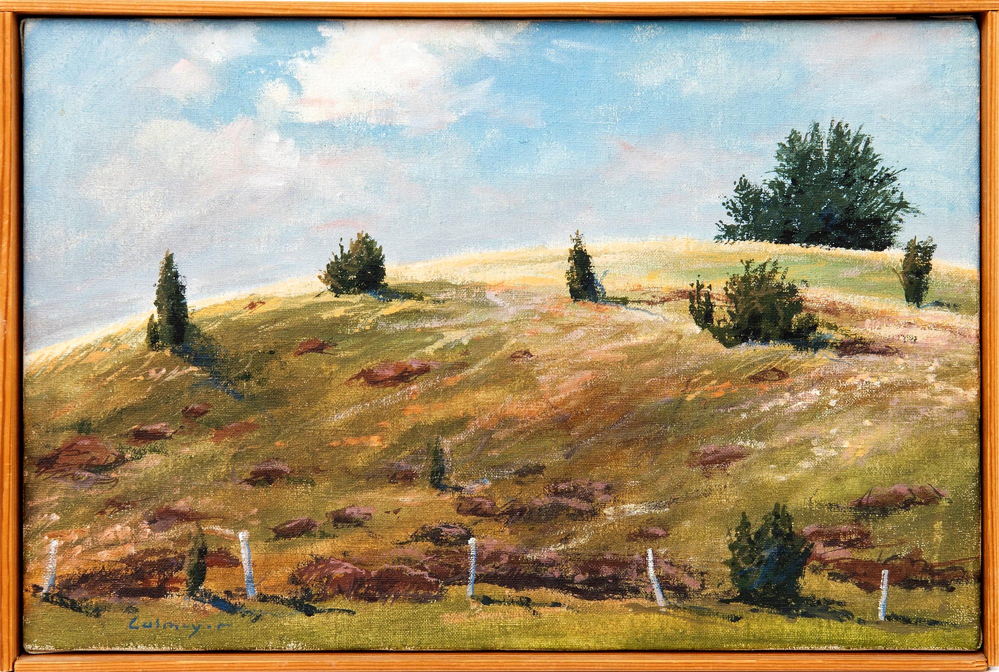 Gösta Calmeyer, Motif from Österlen.
