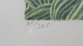 PEHRSON, KARL AXEL. Färglitografi, sign o dat -83, numr 81/385.