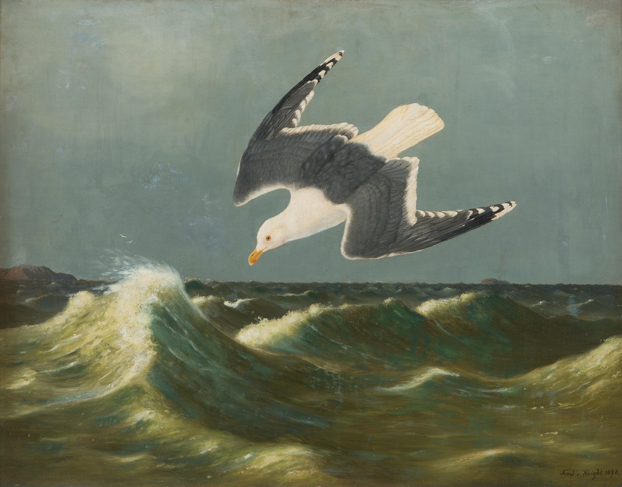 Ferdinand von Wright, Diving Seagull.