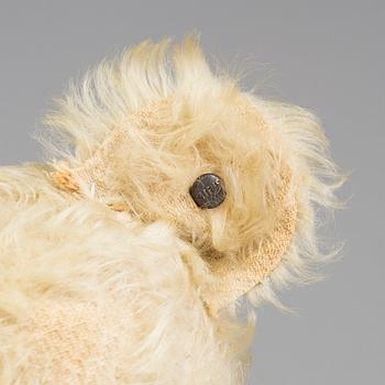 a German Steiff teddybear from the 1920's.