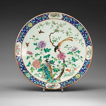 A large famille rose dish, Qing dynasty, 19th century.